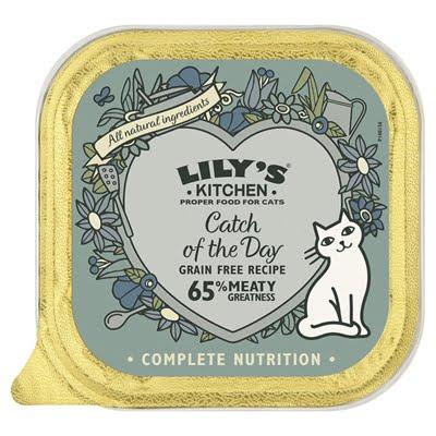 Lily's kitchen cat catch of the day
