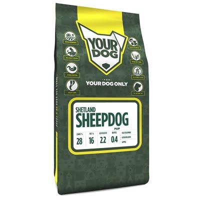 Yourdog shetland sheepdog pup (3 KG)