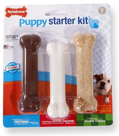 Nylabone puppy chew puppy starter kit