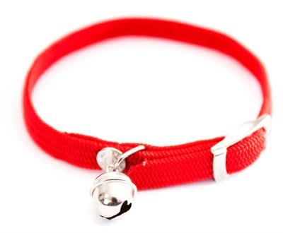Martin halsband kat elastisch nylon rood